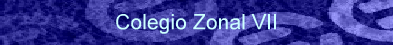 Colegio Zonal VII
