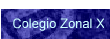 Colegio Zonal X