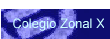 Colegio Zonal X