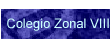 Colegio Zonal VIII