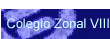 Colegio Zonal VIII