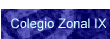 Colegio Zonal IX