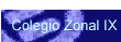 Colegio Zonal IX